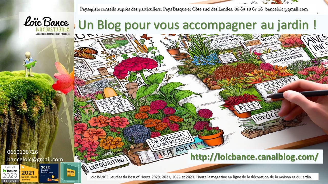 Paysagiste Anglet Blog jardin