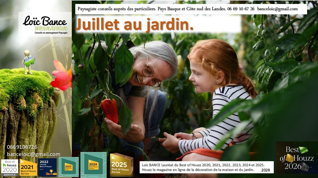 Paysagiste Anglet Juillet au jardin