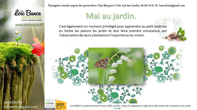 Les travaux du jardin en mai par Anglet paysages