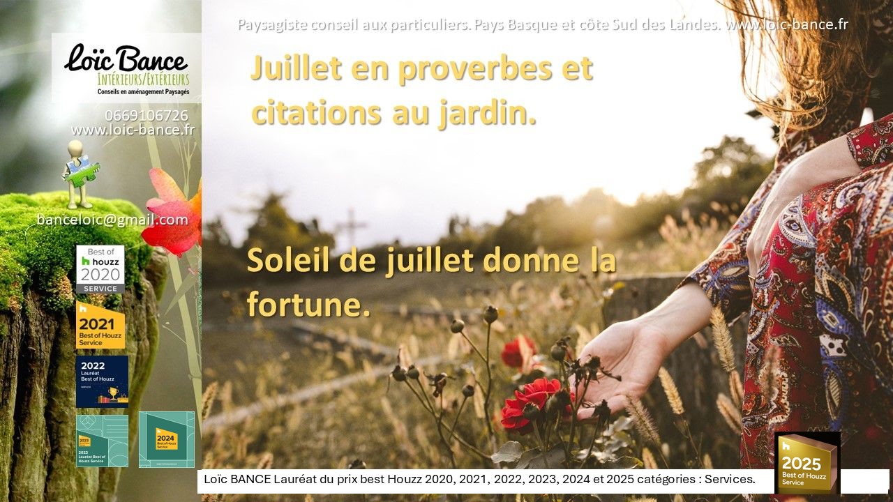 Proverbes; juillets; jardins; Loc BANCE; concepteur de jardins; Landes; Pays Basque; Paysagiste conseil; Anglet; 
