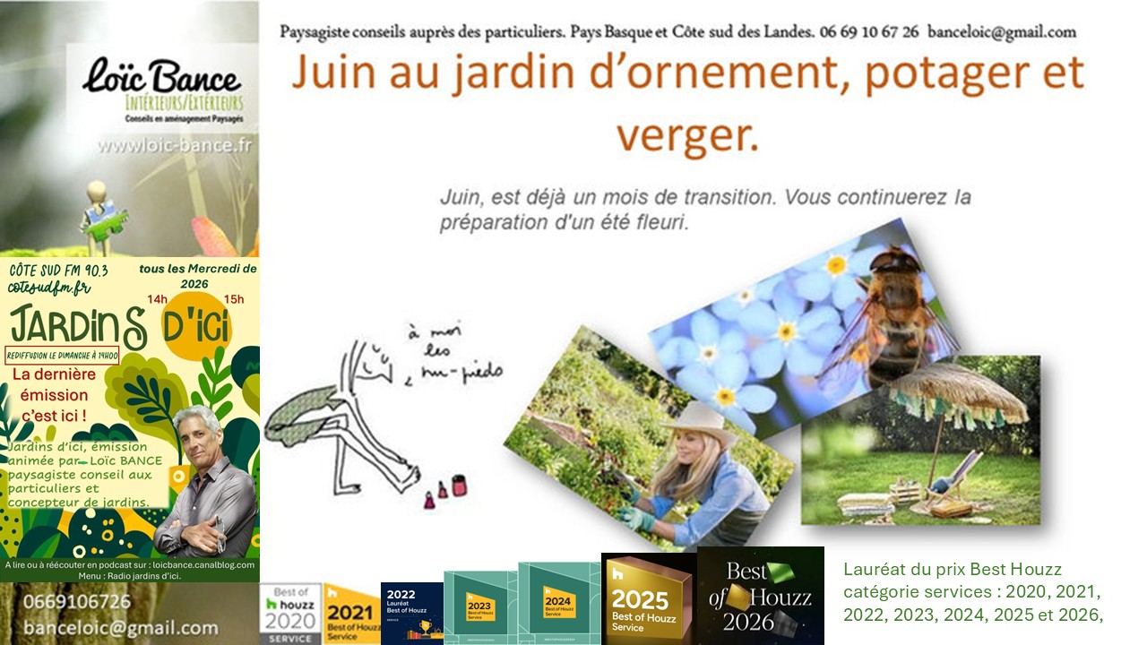 Les travaux de juin 2026 au jardin d'ornement, potager ou fruitier. Anglet paysages