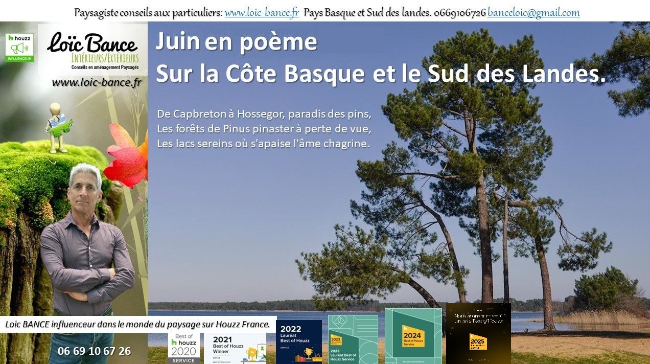 paysages; Landes; Pays Basque; Paysagiste; Paysagiste Landes; Paysagiste Pays Basque; Loc BANCE; Concepteur de jardins; Amnagements paysagers; Paysagiste conseils aux particuliers; Juin; Anglet; 